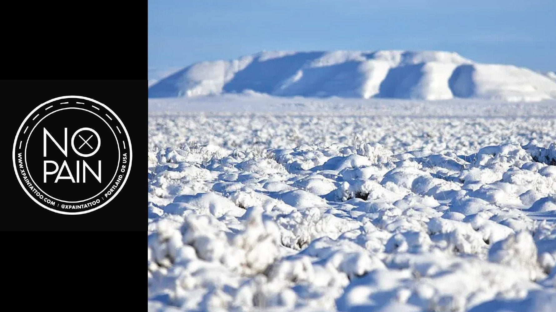 A Guide to Healing Tattoos in a Cold, Dry Climate - No Pain Tattoo