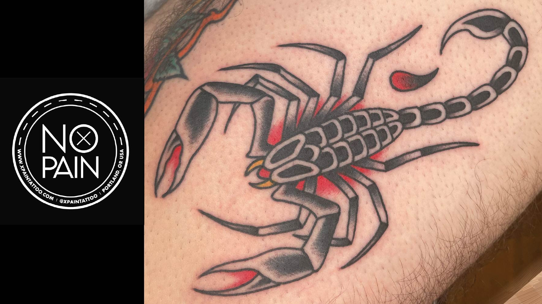 The Ultimate Guide to Scorpion Tattoos: Meanings, Styles, and Placement - No Pain Tattoo