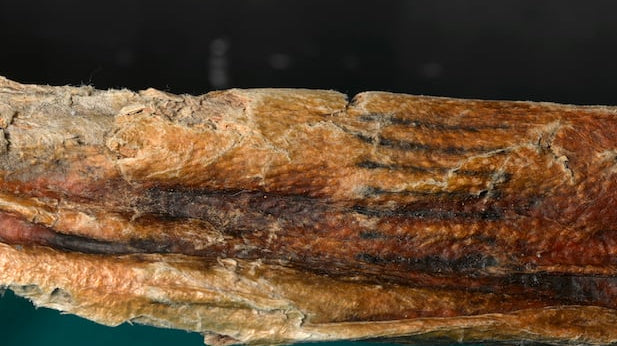 The Ultimate Guide to Stick and Poke Tattoos: Fading, Safety, and Aftercare - No Pain Tattoo